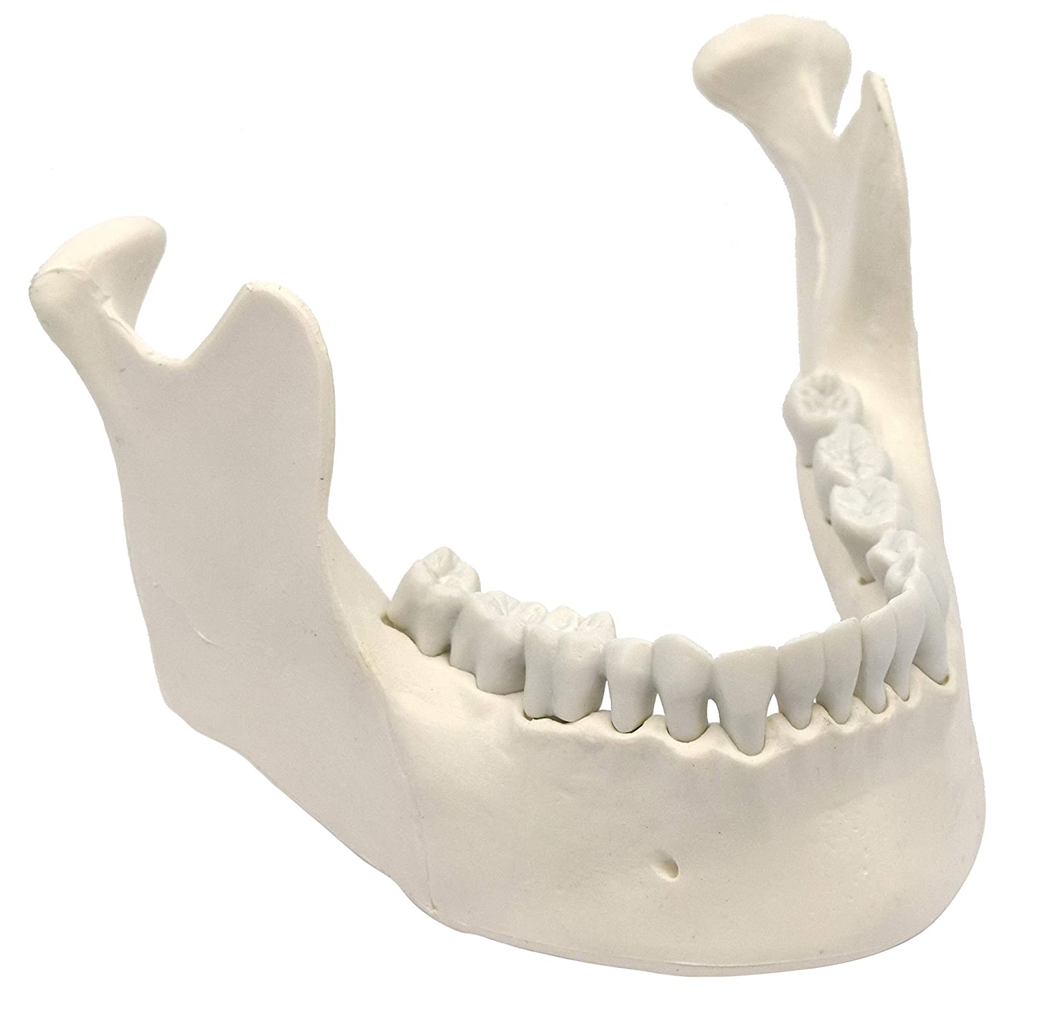 Возрастные аспекты развития костной ткани челюстно-лицевой области и альвеолярного отростка: значение для практической стоматологии